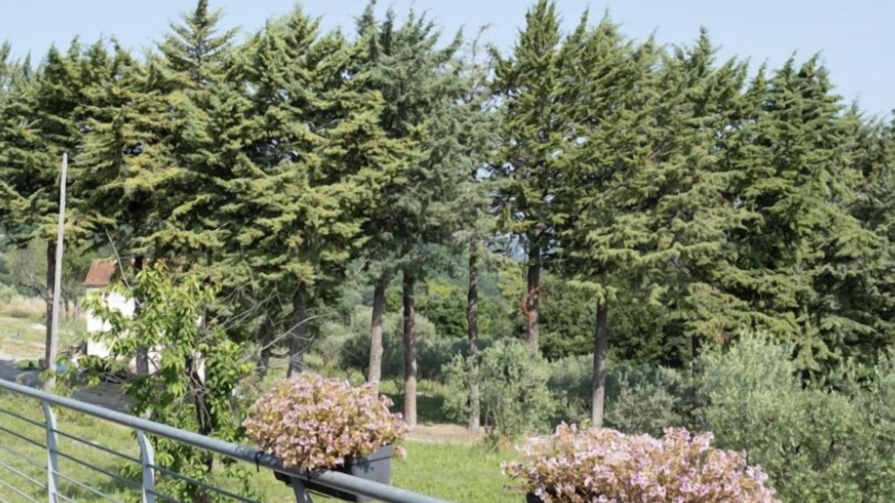 Photo of Outdoor in Trivento