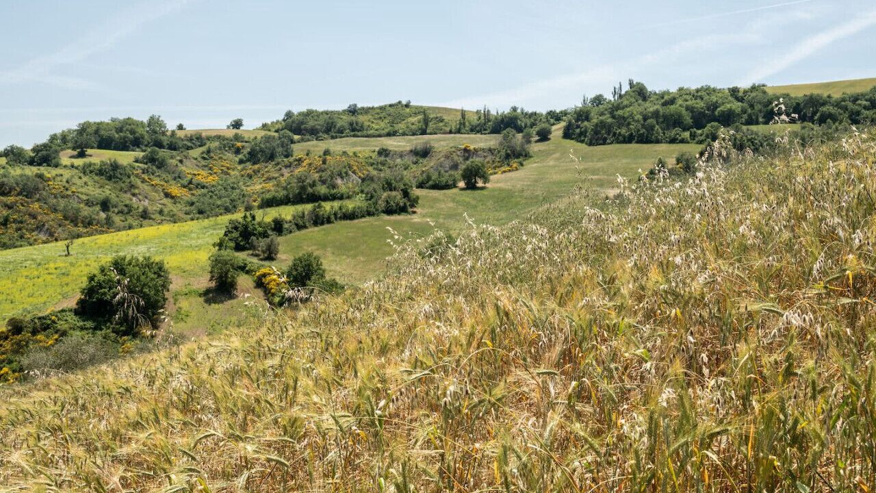 Photo of Others in Mondaino