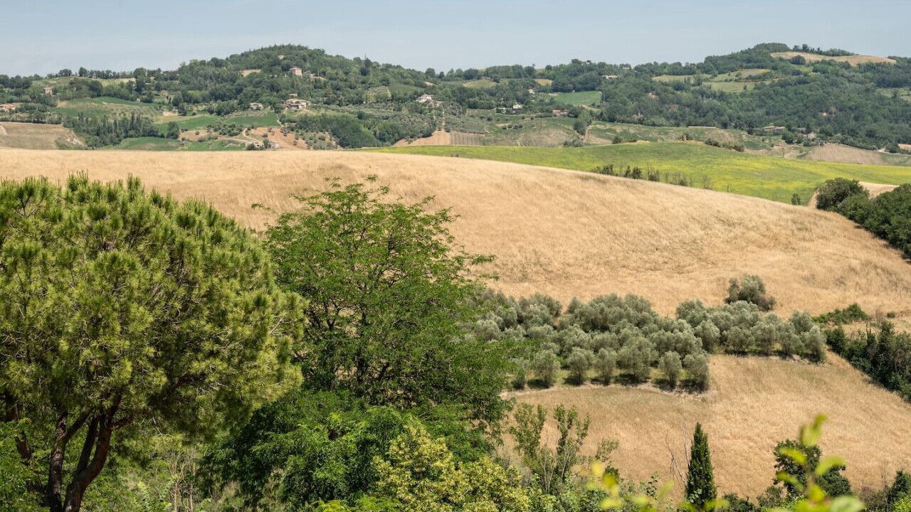 Photo of Outdoor in Mondaino