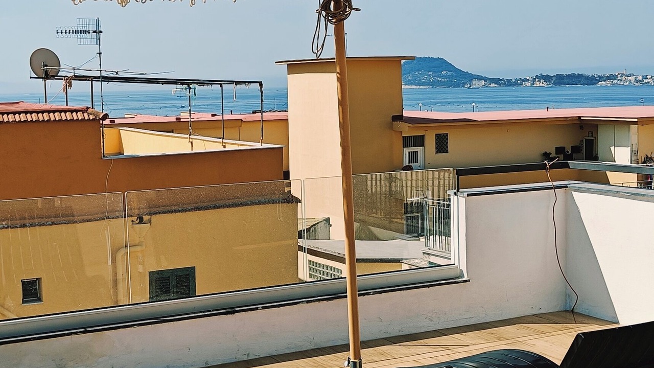 Photo of Outdoor in Licola