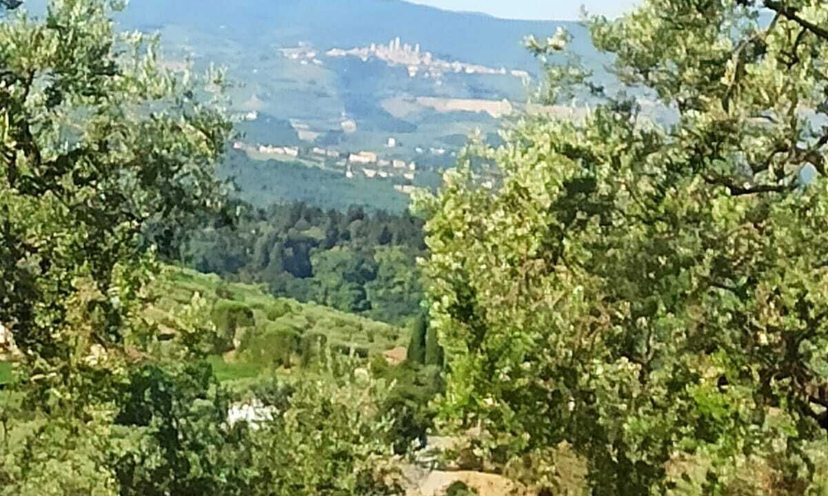 Photo of Others in Magliano