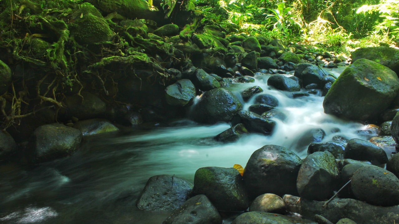 Photo of Outdoor in Las Horquetas