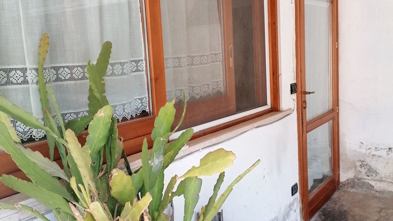 Photo of Outdoor in San Mauro Pascoli
