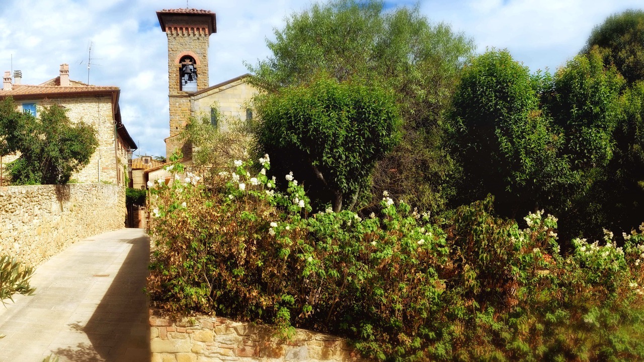 Photo of Outdoor in Oliveto