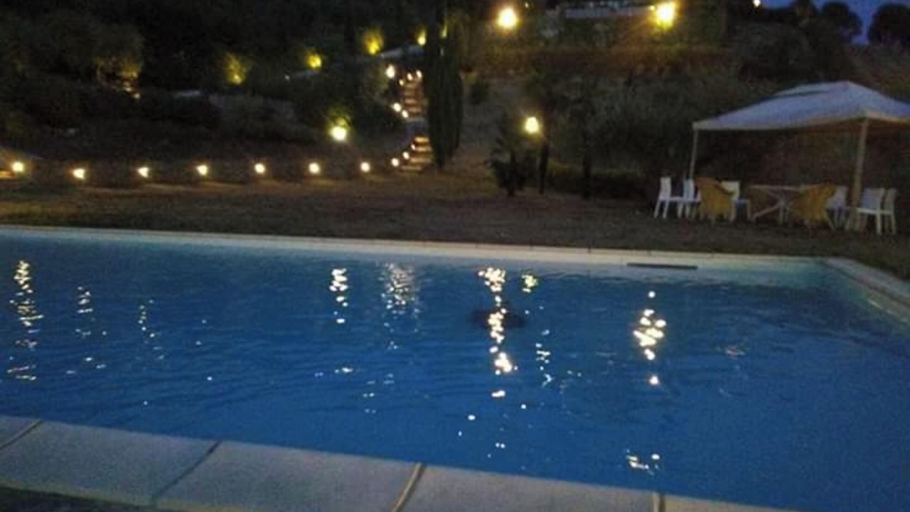 Photo of Outdoor in Serre