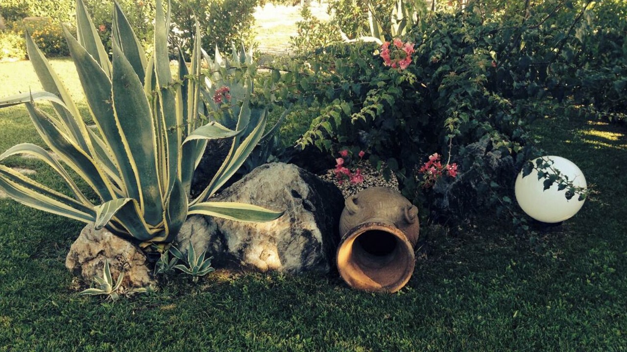 Photo of Outdoor in Cucco-Riviere