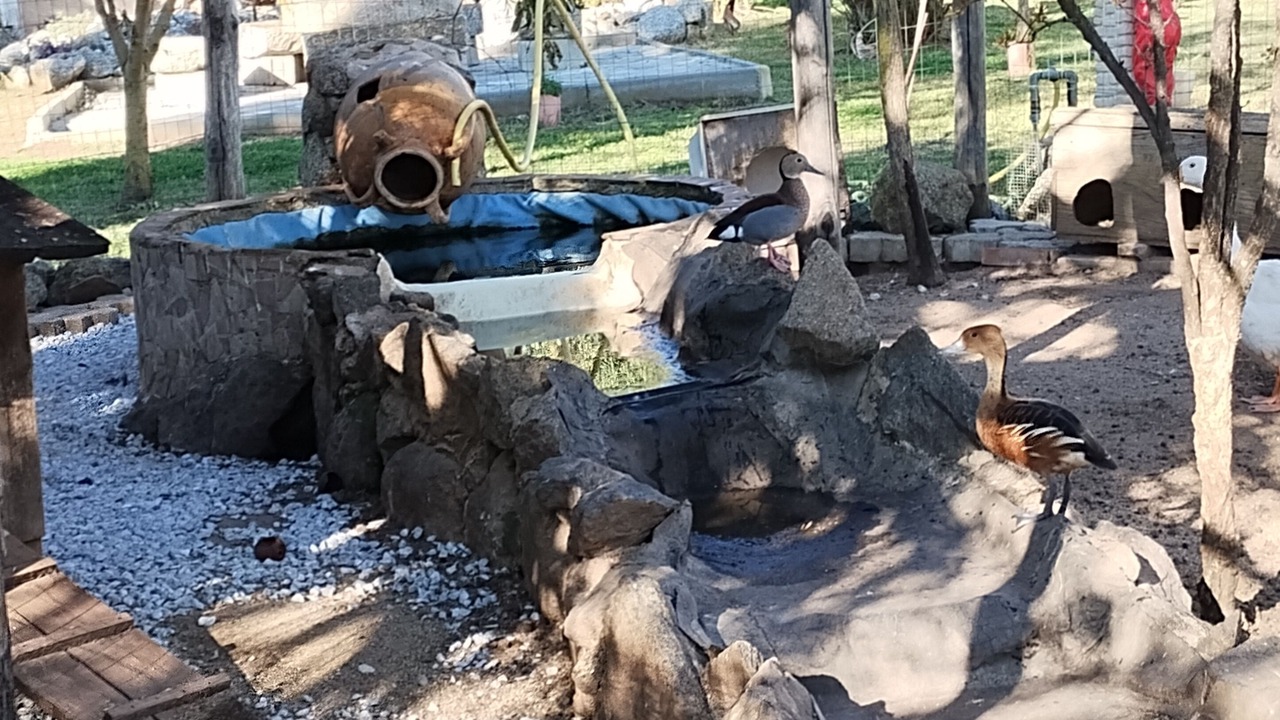 Photo of Outdoor in Santa Maria