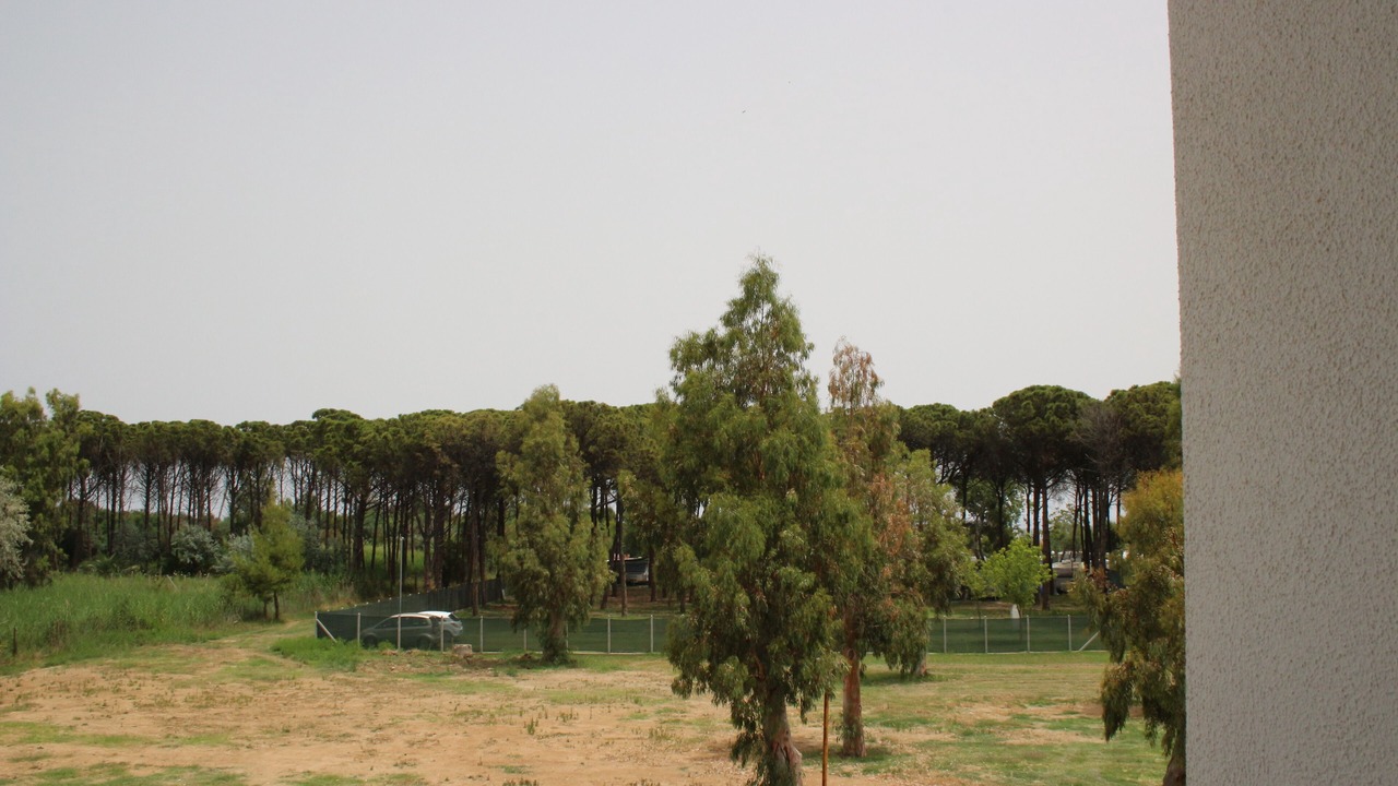 Photo of Outdoor in Marina di Schiavonea