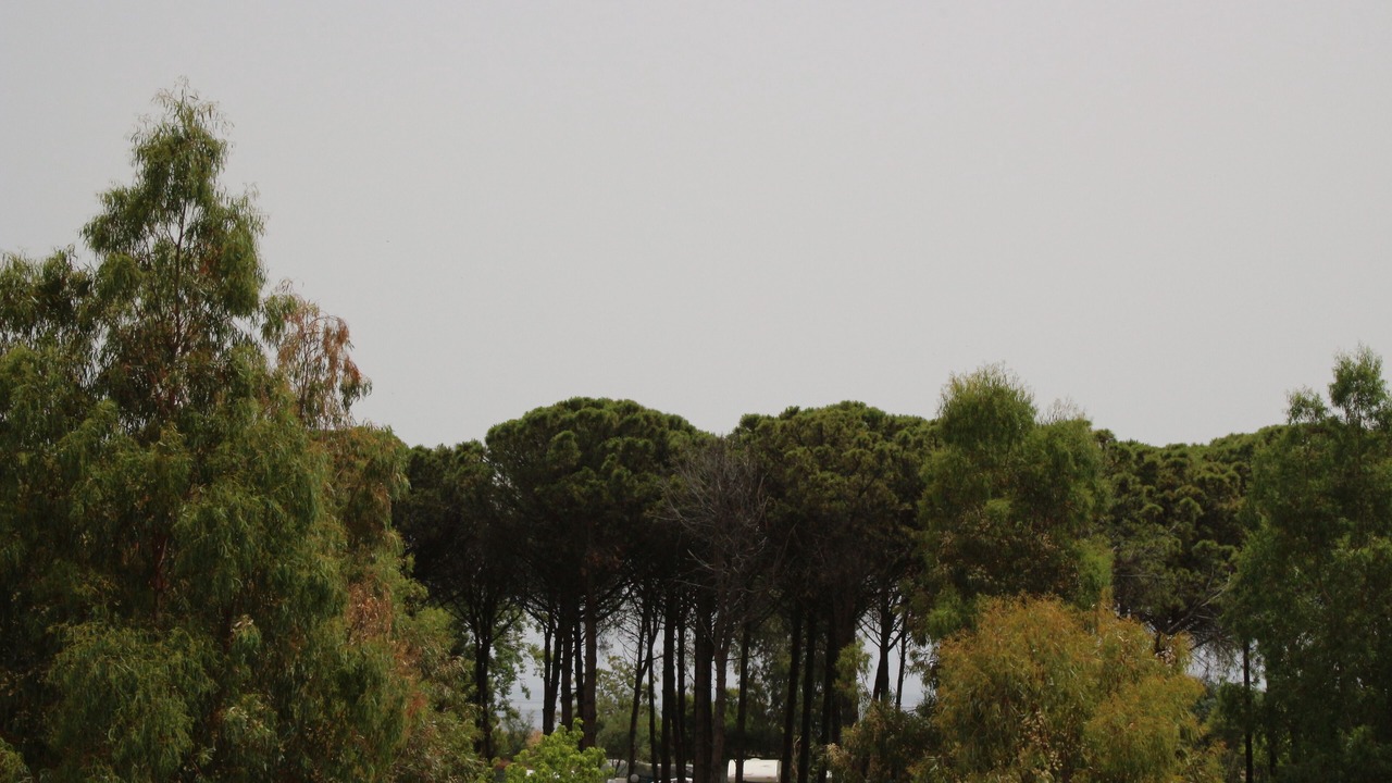 Photo of Outdoor in Marina di Schiavonea