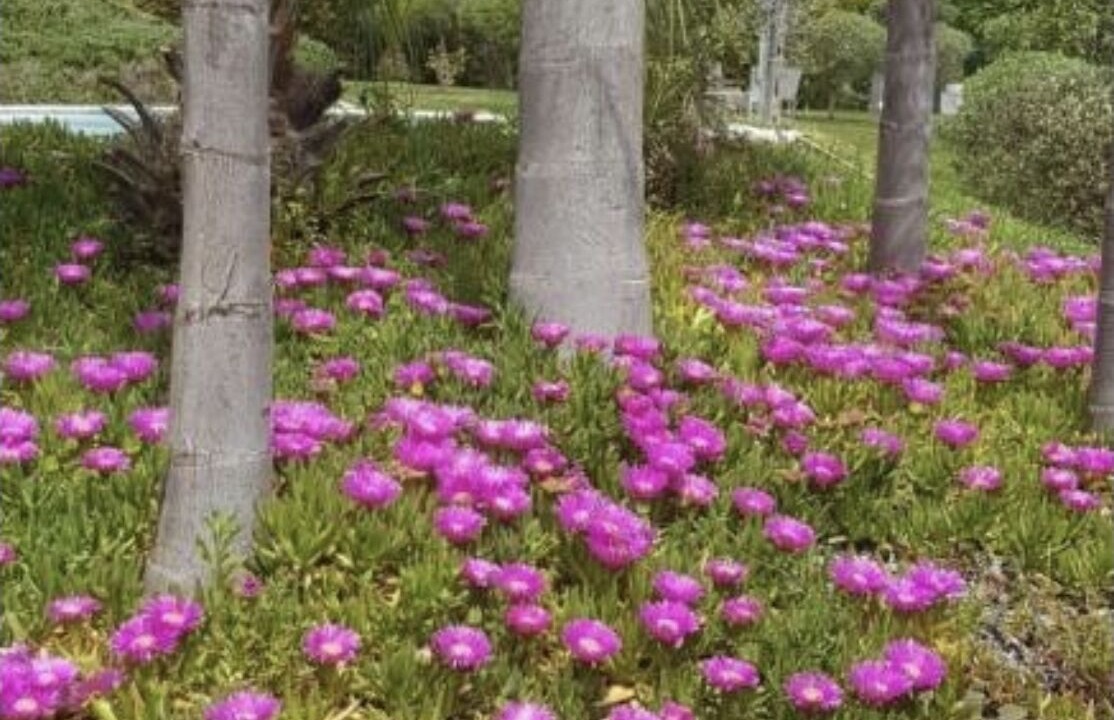 Photo of Outdoor in Terzigno