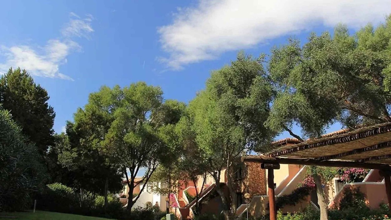 Photo of Outdoor in Porto Rotondo