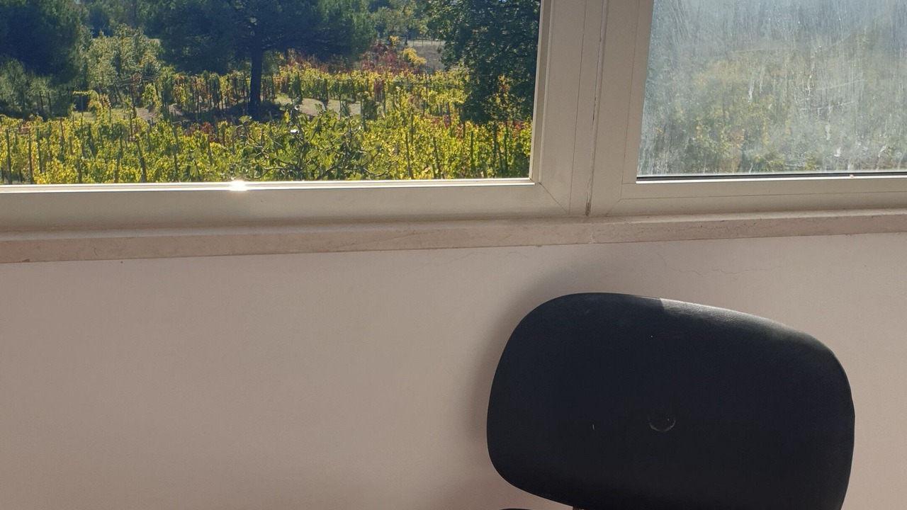 Photo of Patio Balcony in Boscotrecase