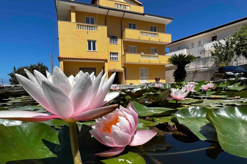 Photo of Others in Briatico