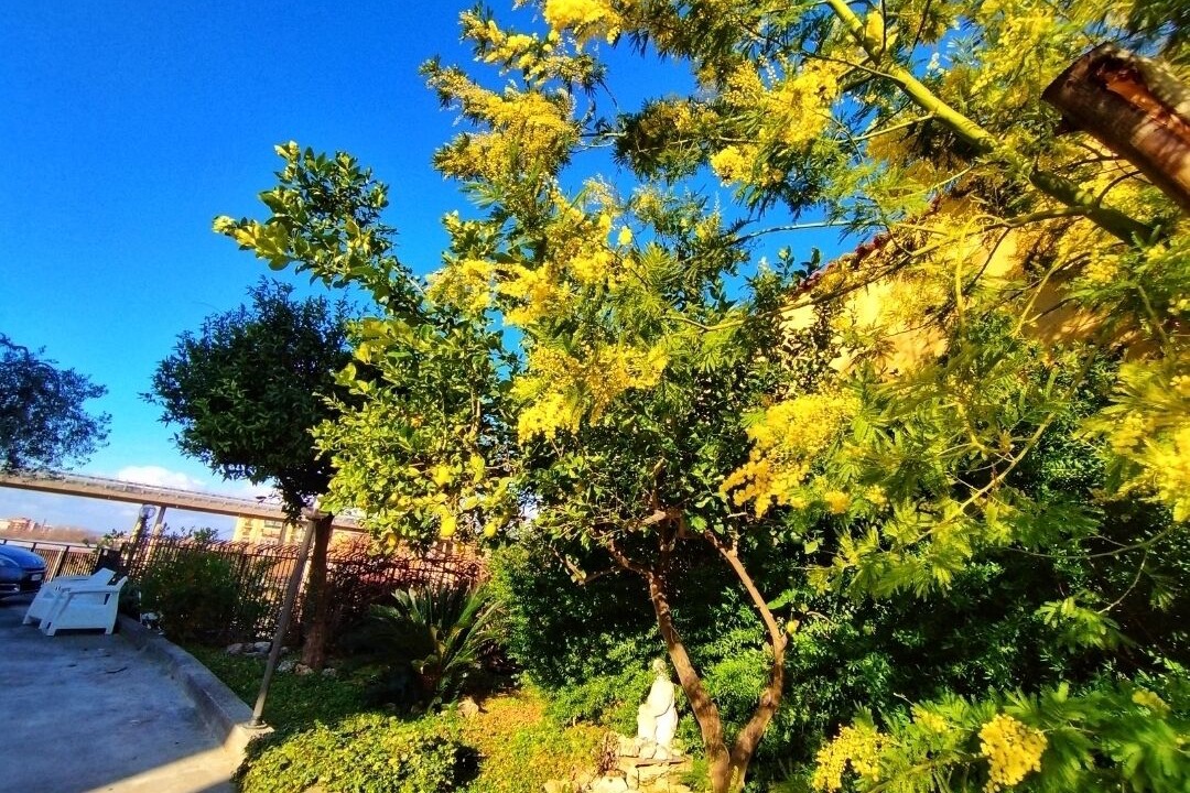Photo of Outdoor in Santa Maria la Carita