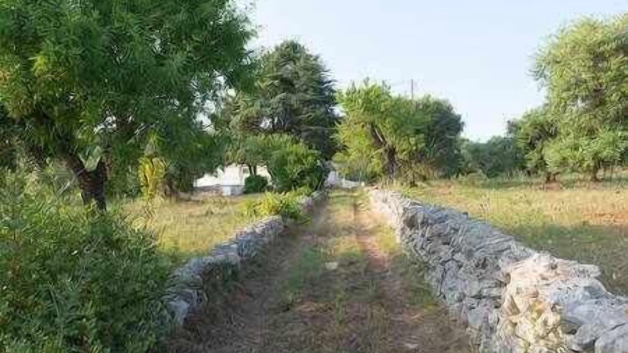 Photo of Outdoor in Old Town Cisternino