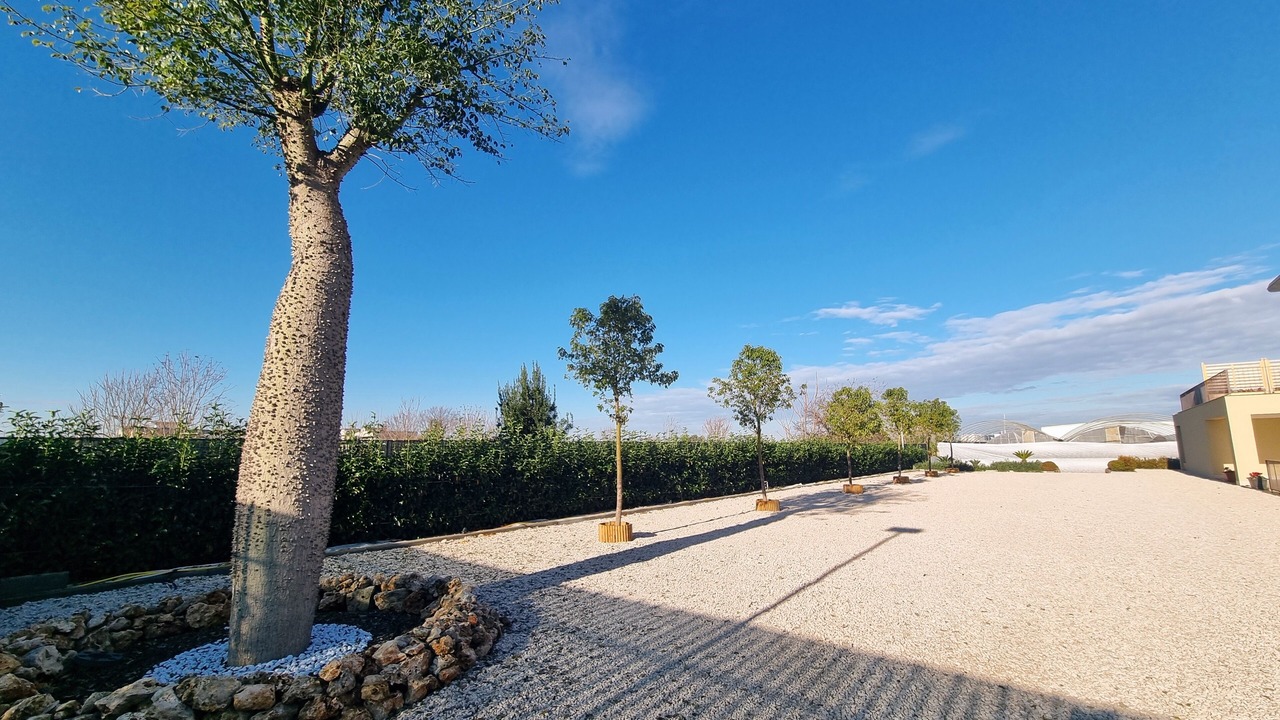Photo of Outdoor in Volla