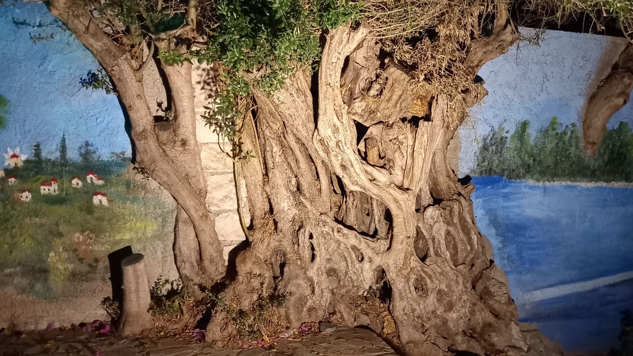 Photo of Outdoor in Ialyssos