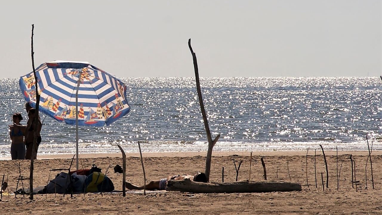 Photo of Others in Lido di Dante