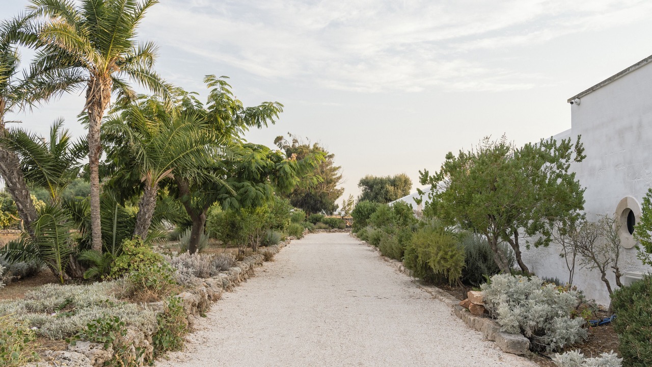 Photo of Outdoor in Ostuni
