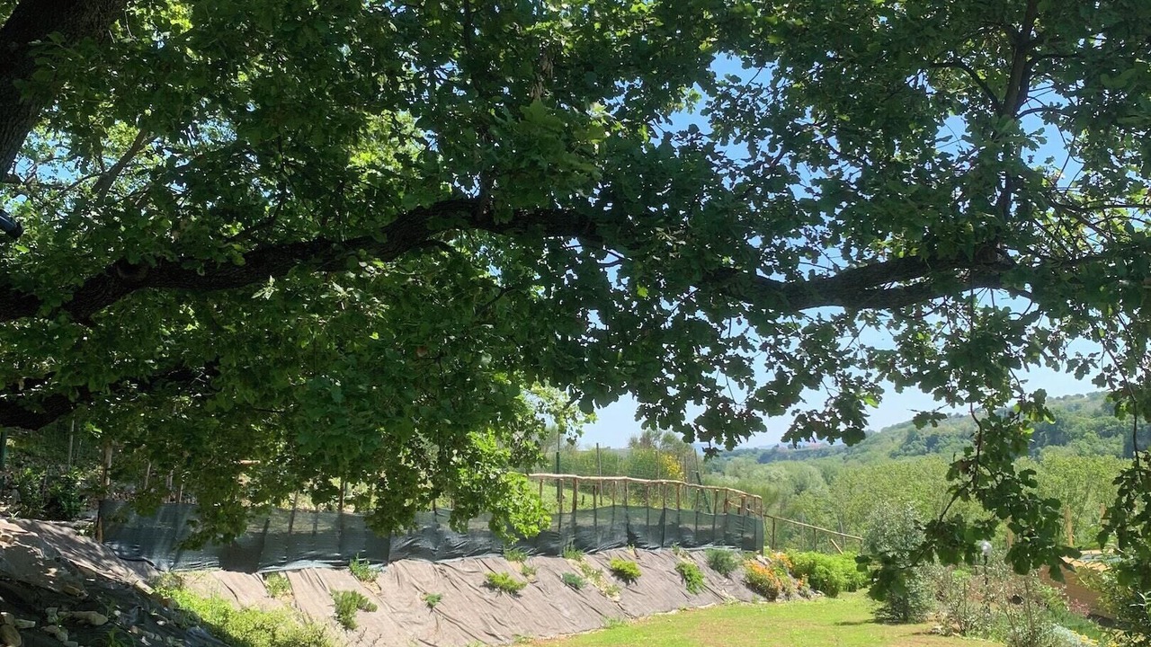 Photo of Outdoor in Civitaquana