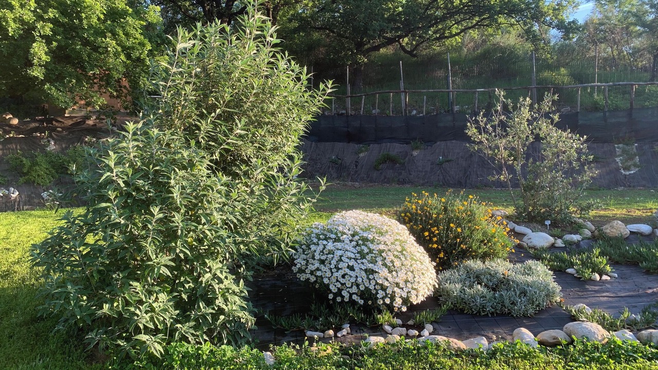 Photo of Outdoor in Civitaquana