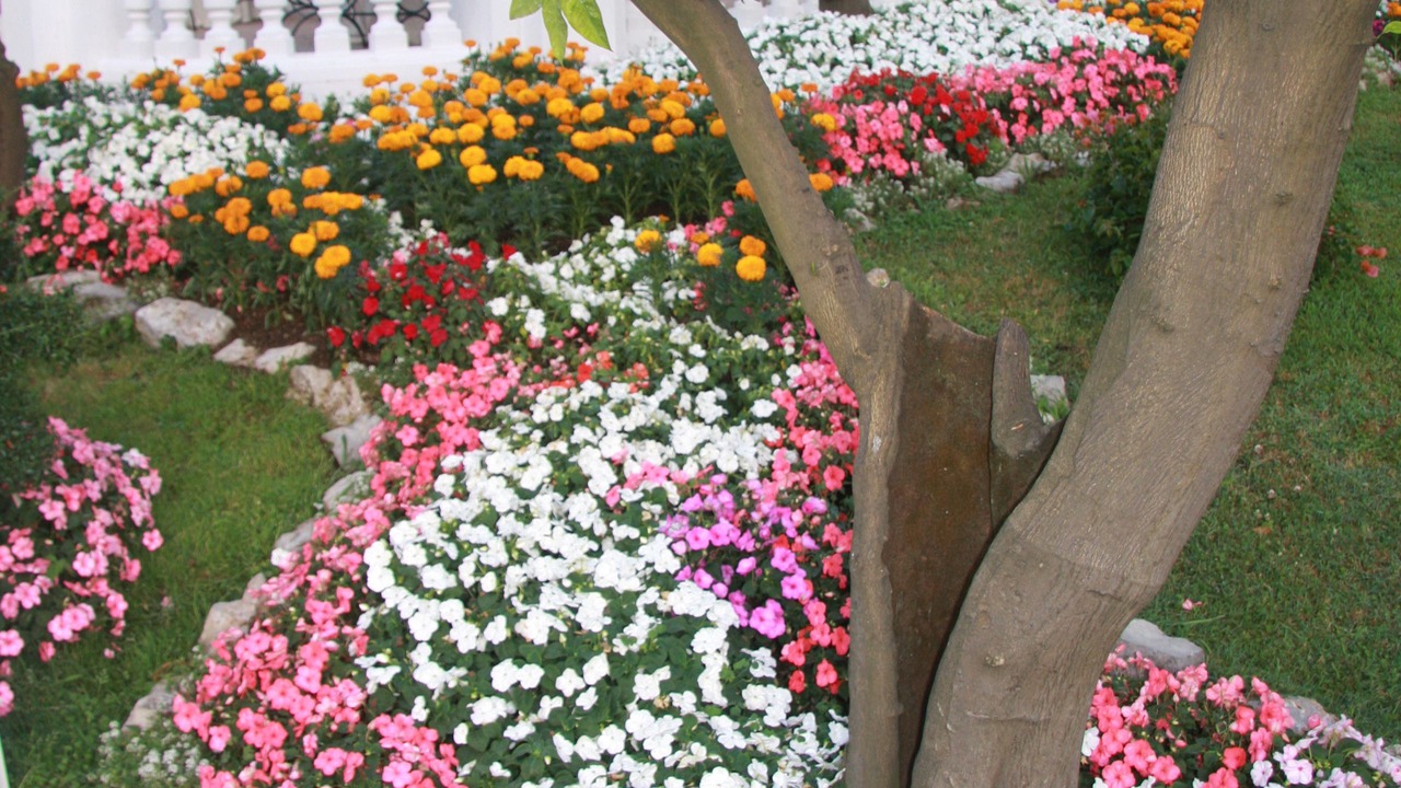 Photo of Outdoor in Castellammare di Stabia