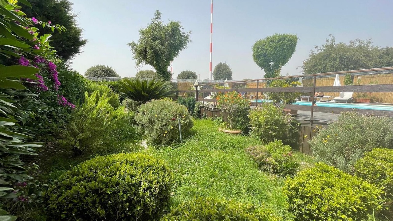 Photo of Outdoor in Naples