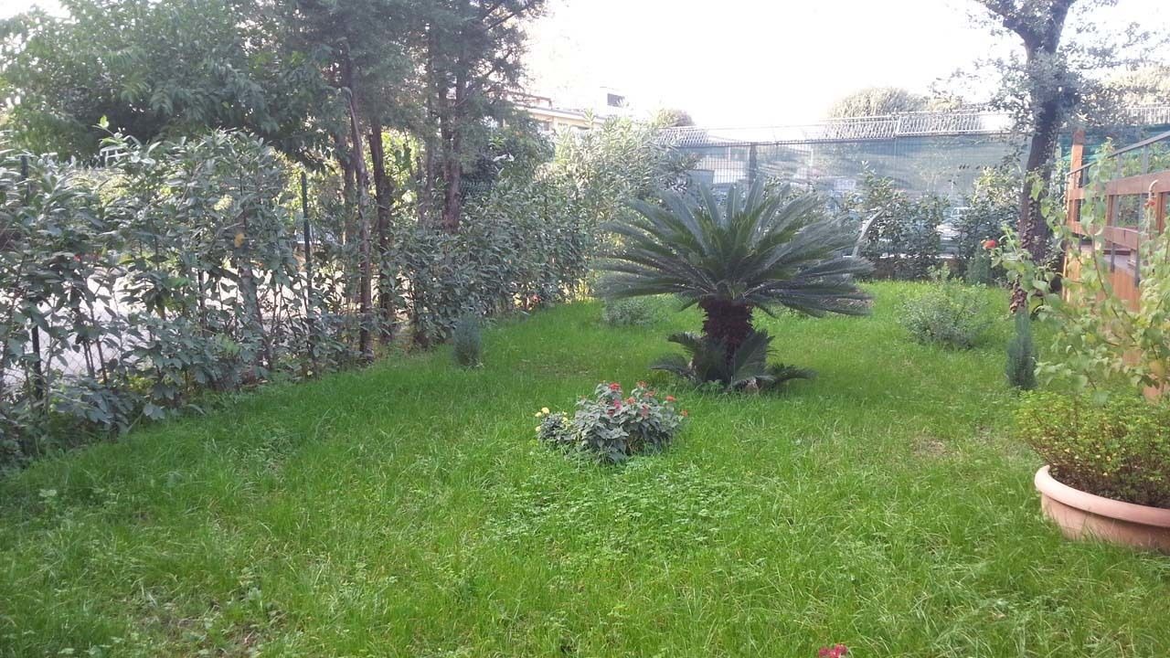 Photo of Outdoor in Naples