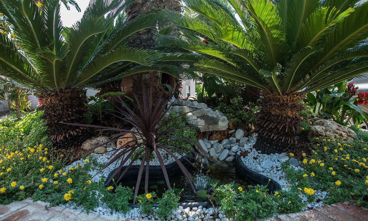 Photo of Outdoor in Terracina