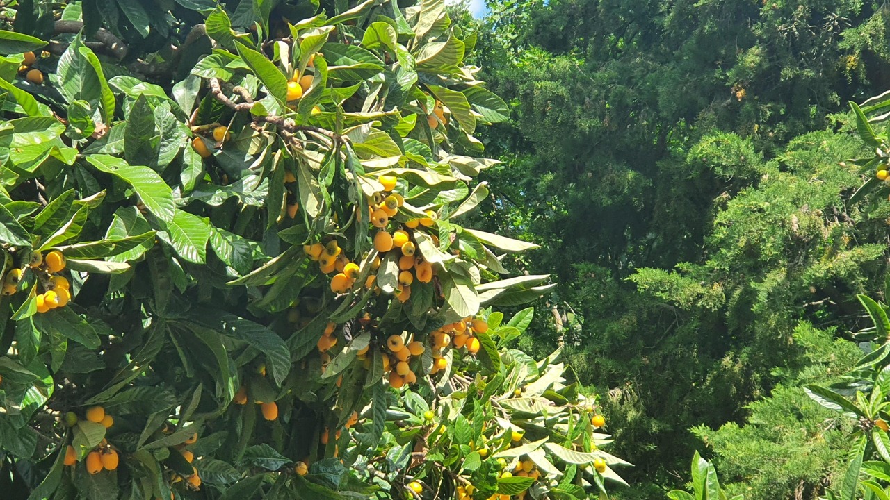 Photo of Outdoor in Pieve al Bagnoro