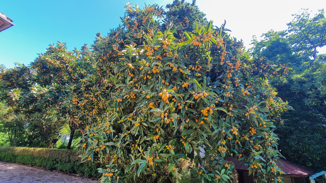 Photo of Outdoor in Pieve al Bagnoro