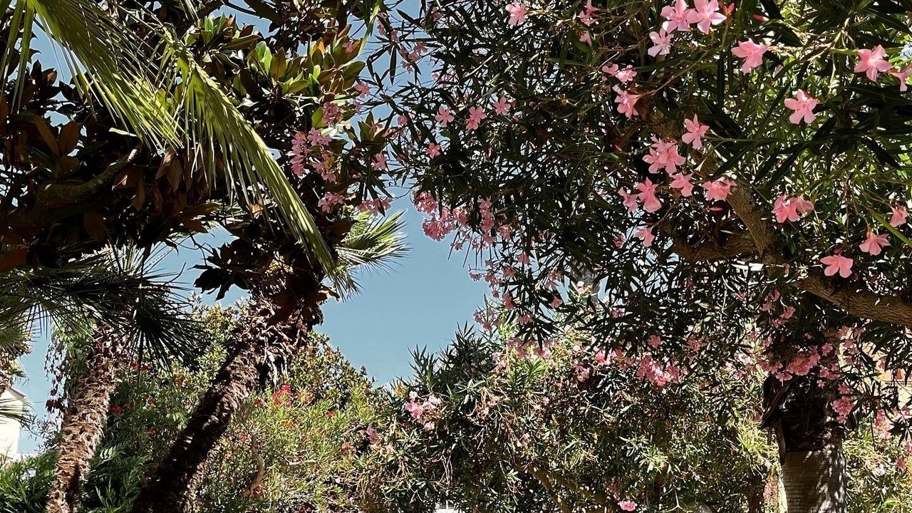 Photo of Outdoor in Lago Patria