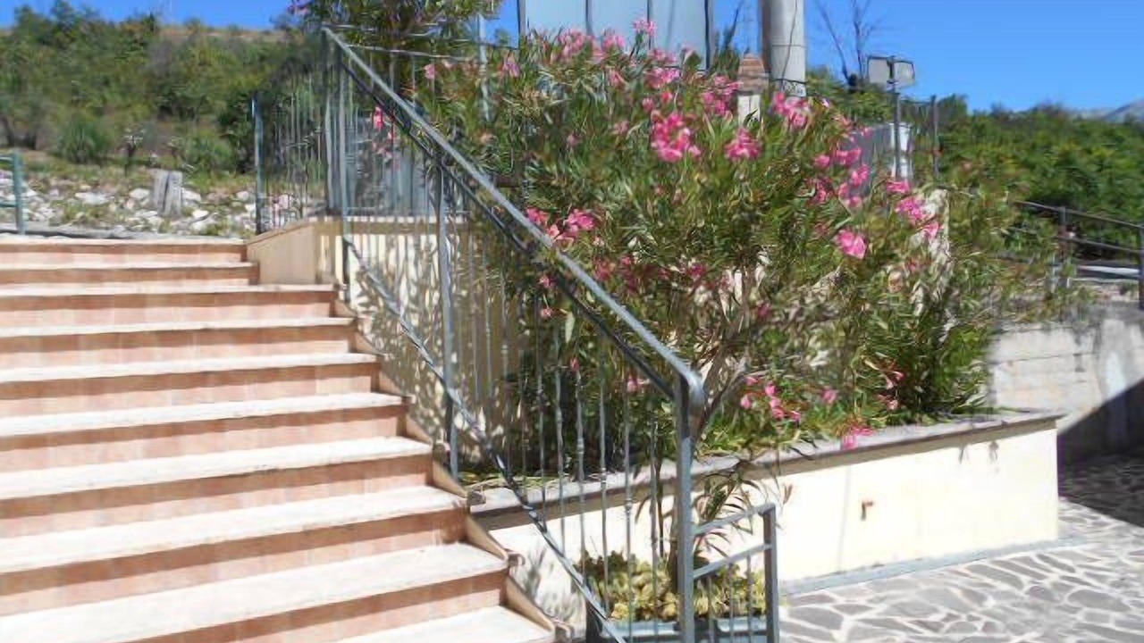 Photo of Outdoor in Campo di Fano