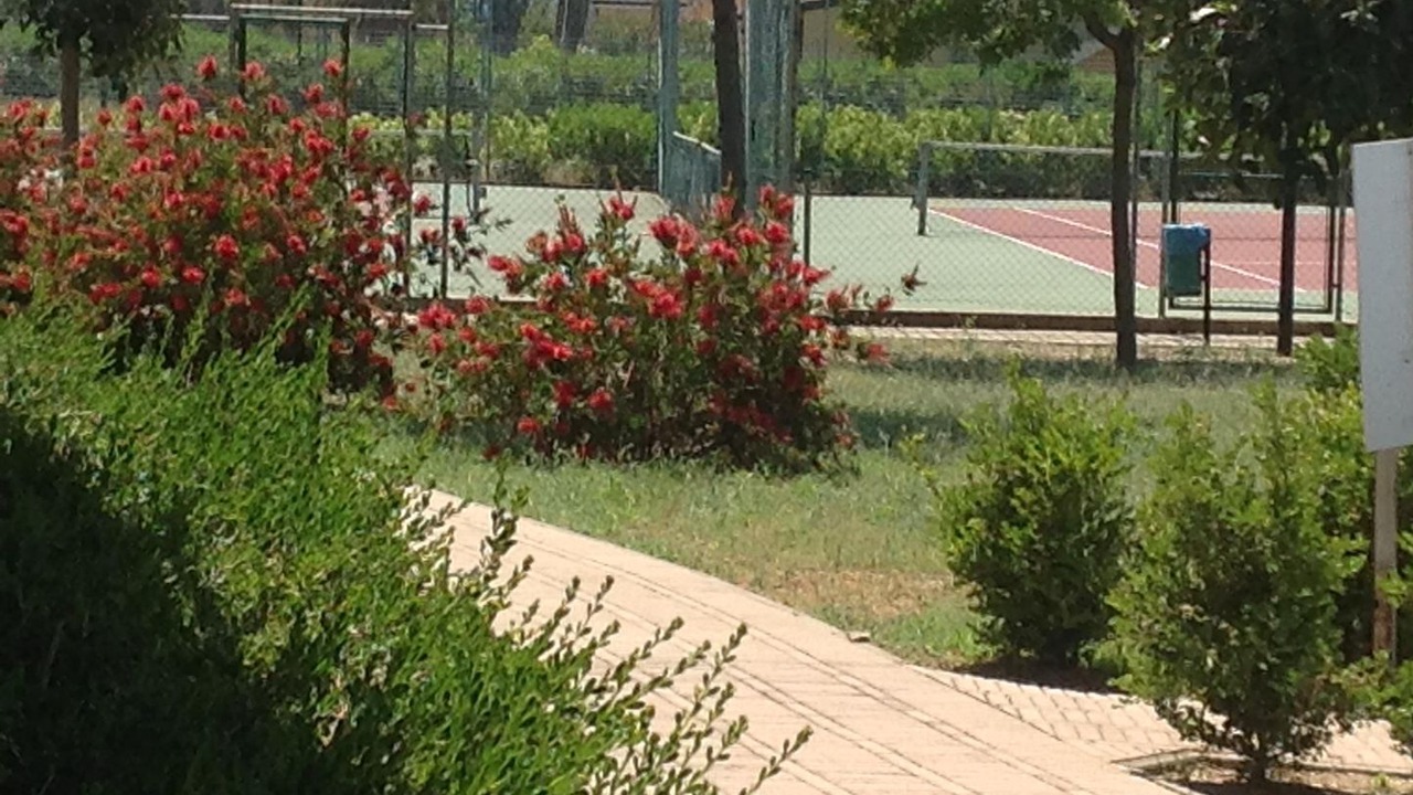 Photo of Outdoor in Pizzo