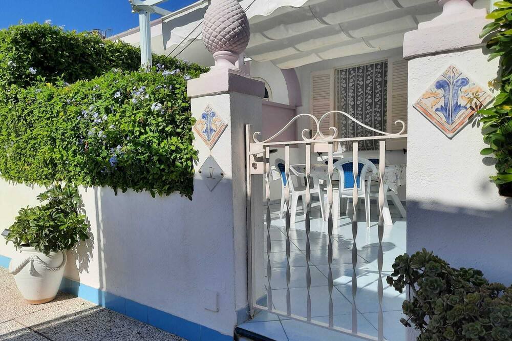 Photo of Outdoor in Fiaiano