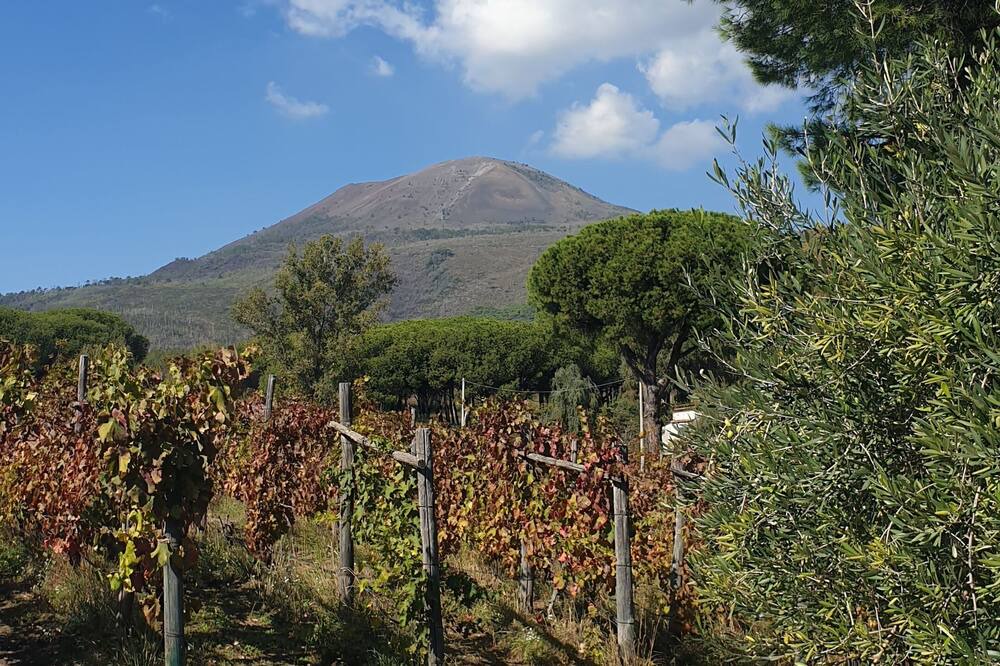 Photo of Outdoor in Boscotrecase