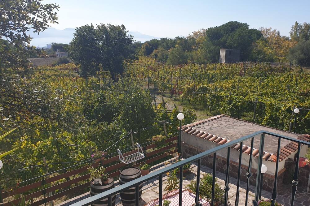 Photo of Outdoor in Boscotrecase