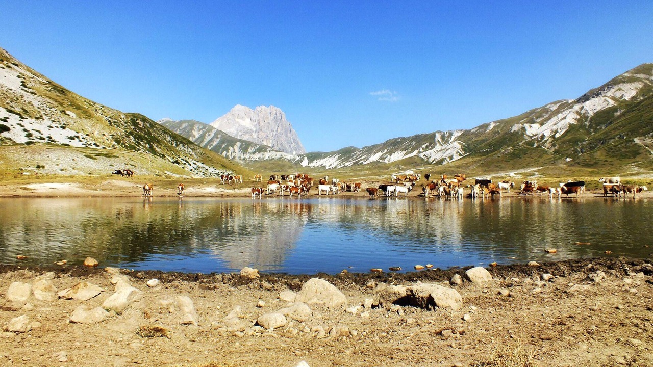 Photo of Outdoor in Castel di Ieri