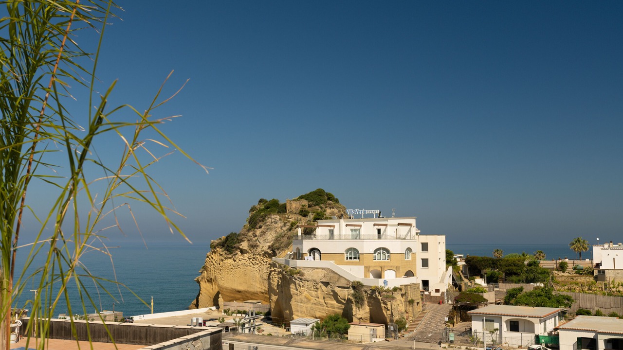 Photo of Outdoor in Licola