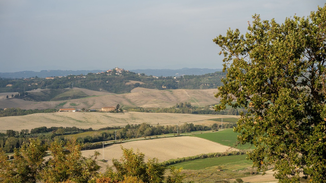 Photo of Outdoor in Chianni