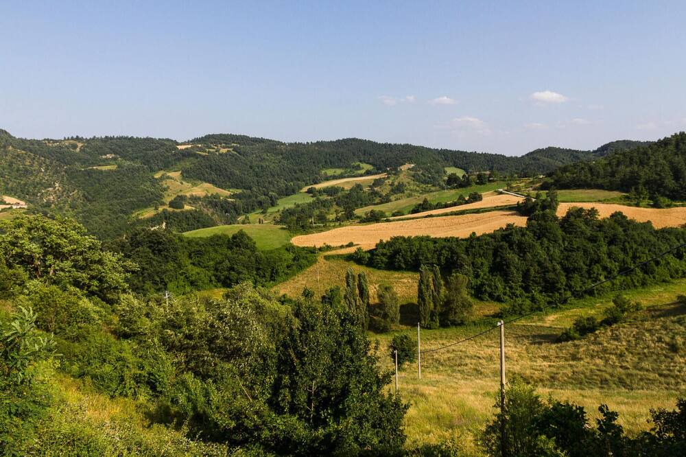 Photo of Others in Montecchio