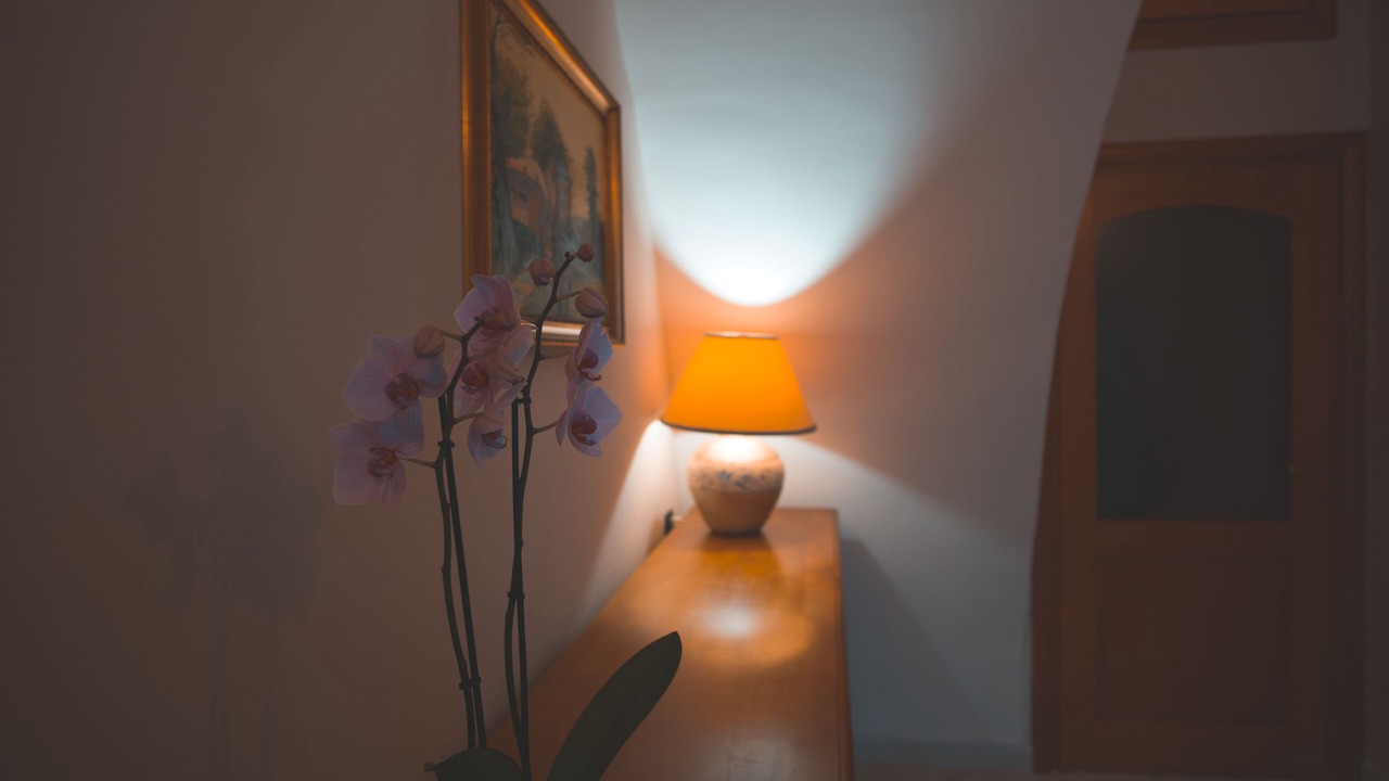 Photo of Others in Ruvo di Puglia