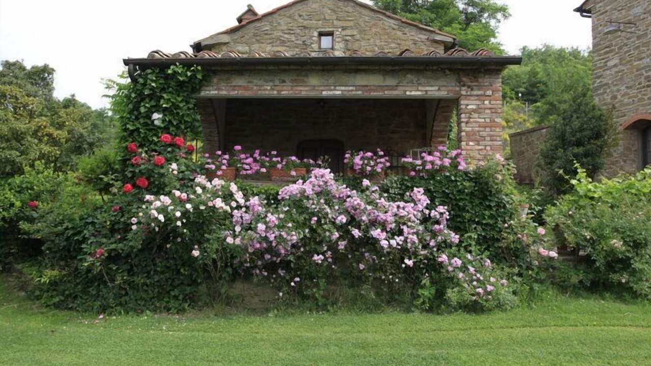 Photo of Outdoor in Arezzo