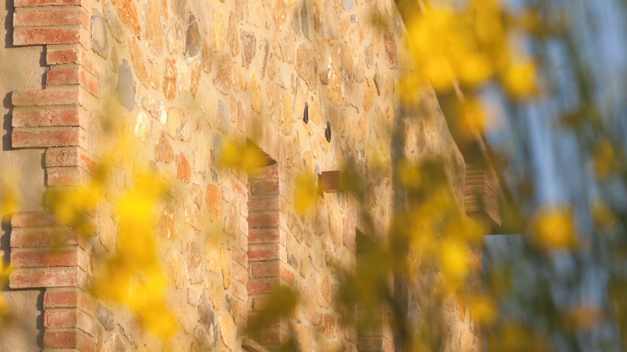 Photo of Outdoor in Magliano in Toscana