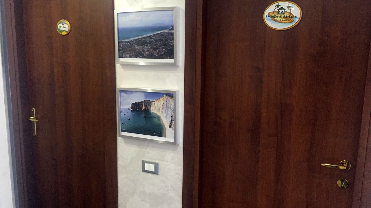 Photo of Others in Terracina