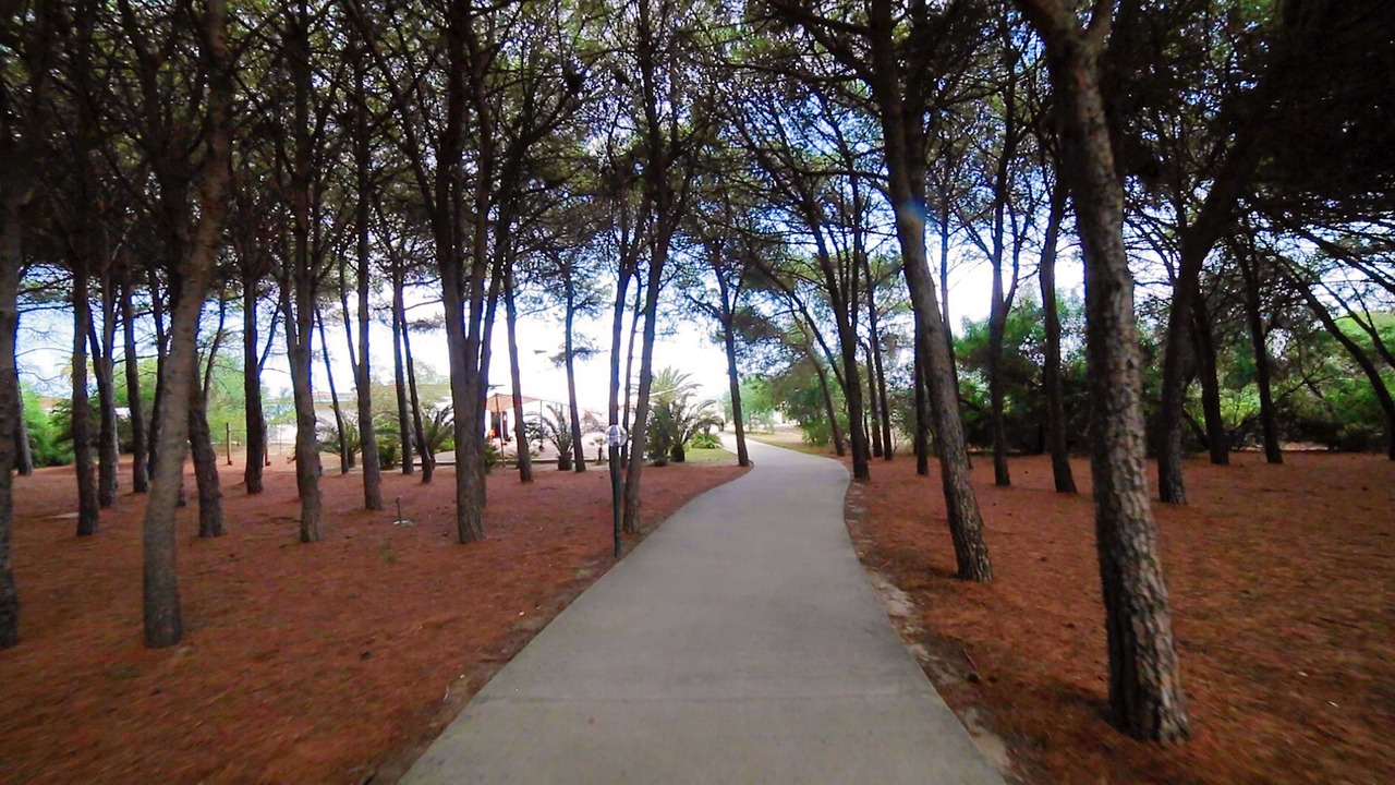 Photo of Outdoor in Sellia Marina