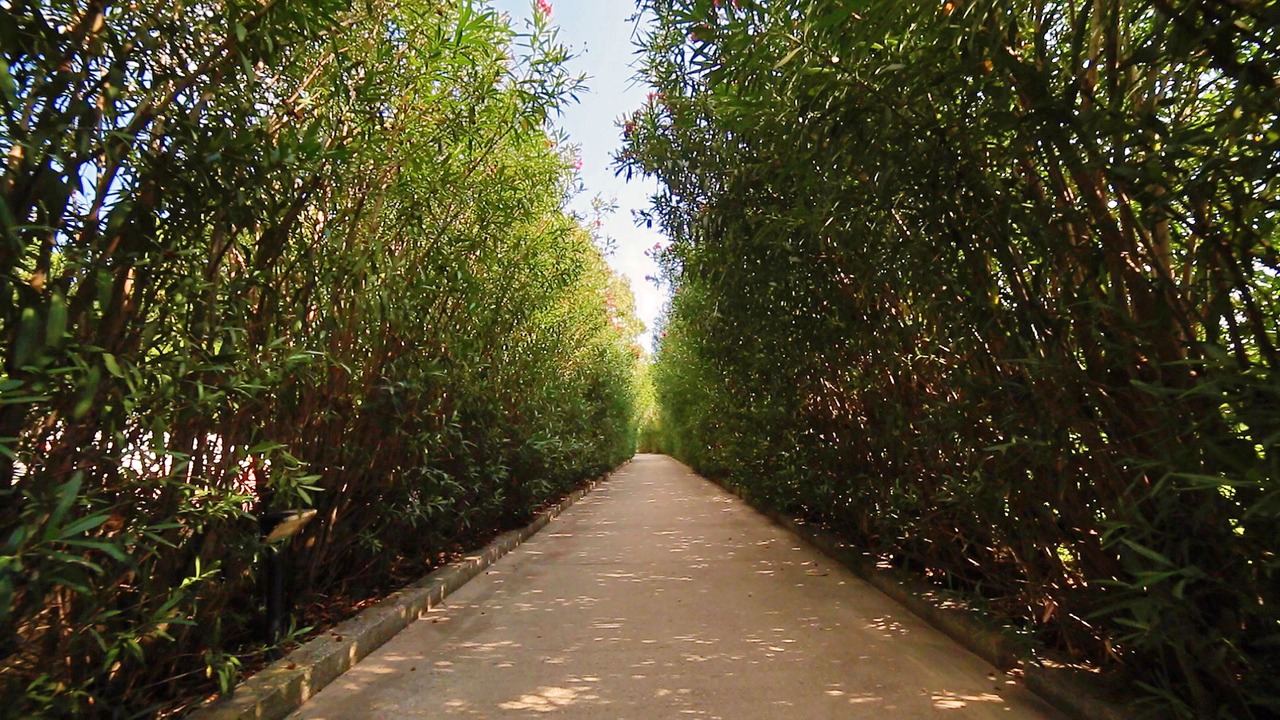 Photo of Outdoor in Sellia Marina