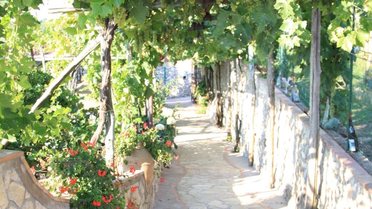 Photo of Outdoor in Anacapri