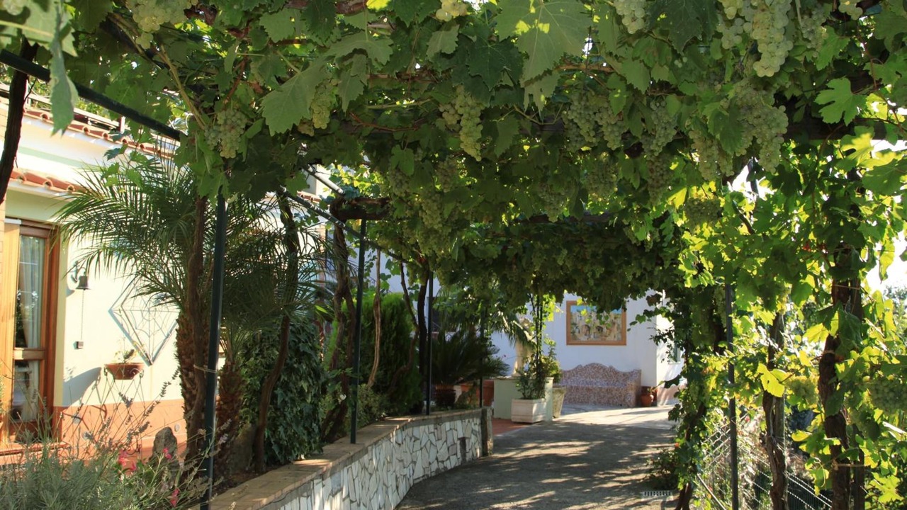 Photo of Outdoor in Anacapri