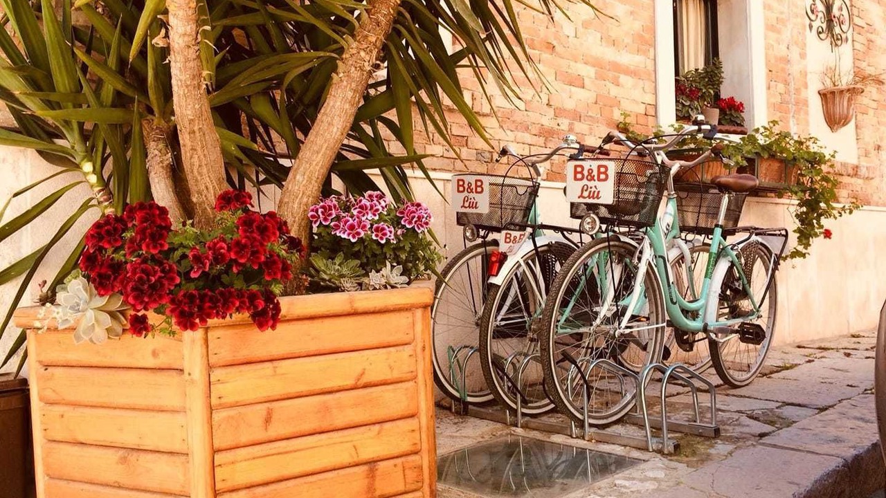 Photo of Outdoor in Lesina